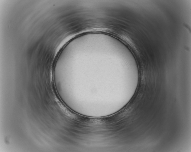 X0000101961420200808011057