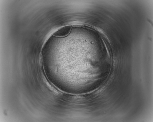 X0000101961421200808011057