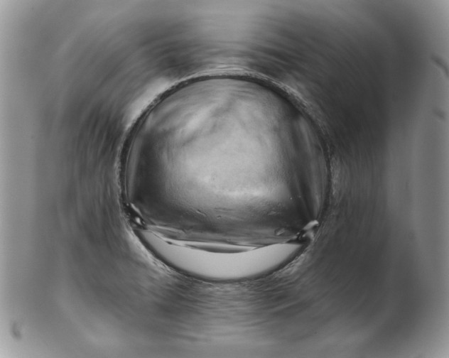 X0000101961422200808011057