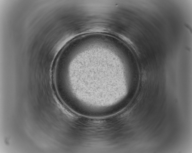 X0000101961423200808011057