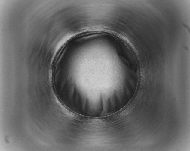 X0000101961424200808011057