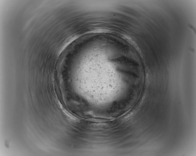 X0000101961425200808011058