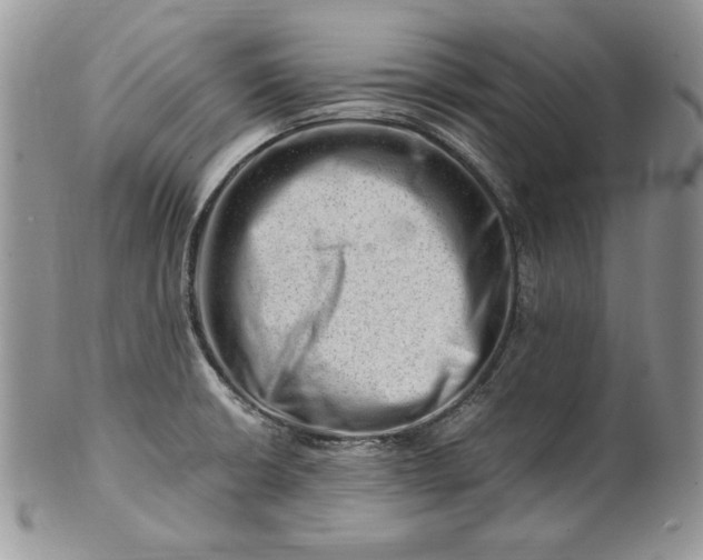 X0000101961426200808011058