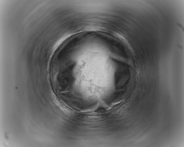 X0000101961427200808011058