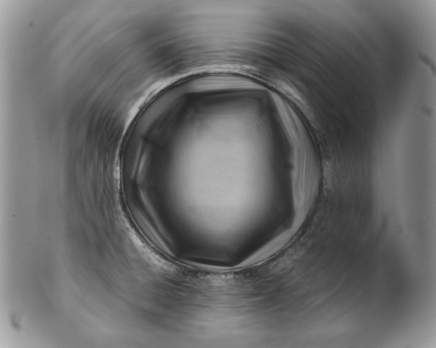 X0000101961428200808011058