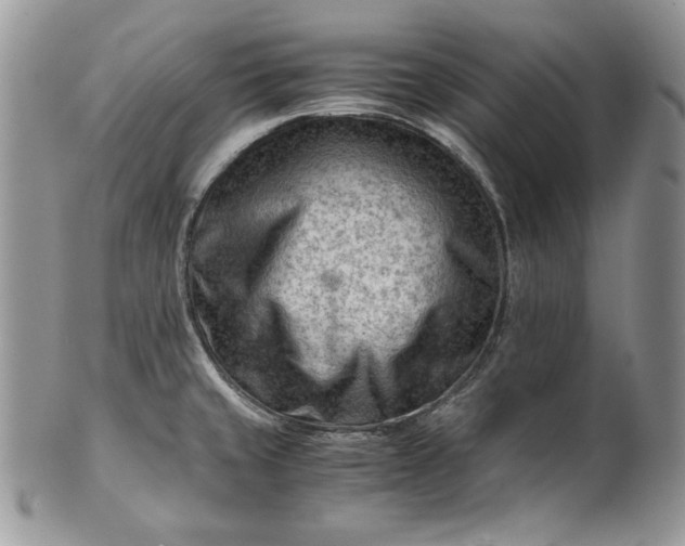 X0000101961429200808011058