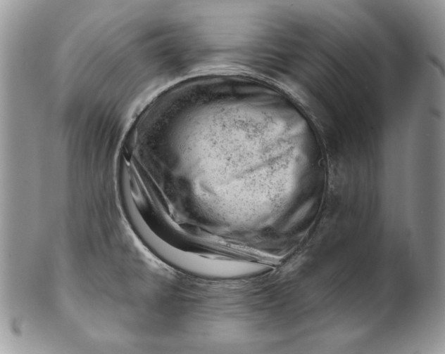 X0000101961430200808011058