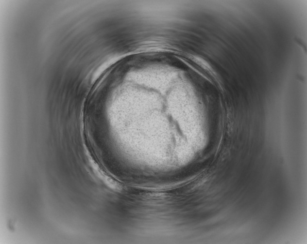 X0000101961431200808011058