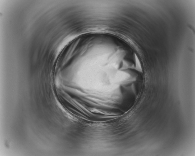 X0000101961432200808011058