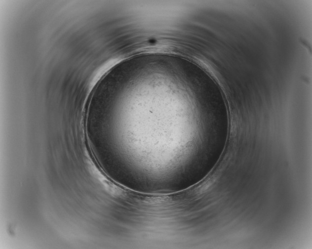 X0000101961434200808011058