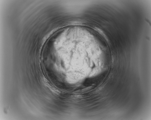 X0000101961435200808011058