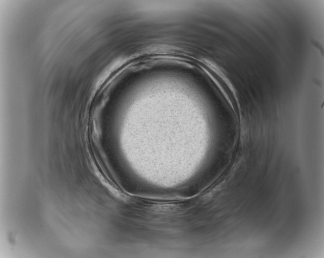 X0000101961437200808011058