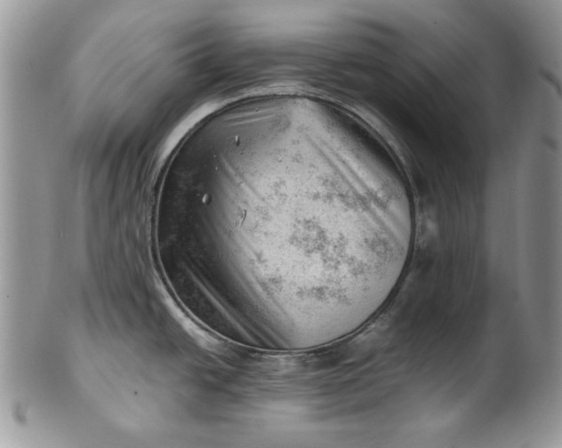 X0000101961438200808011058