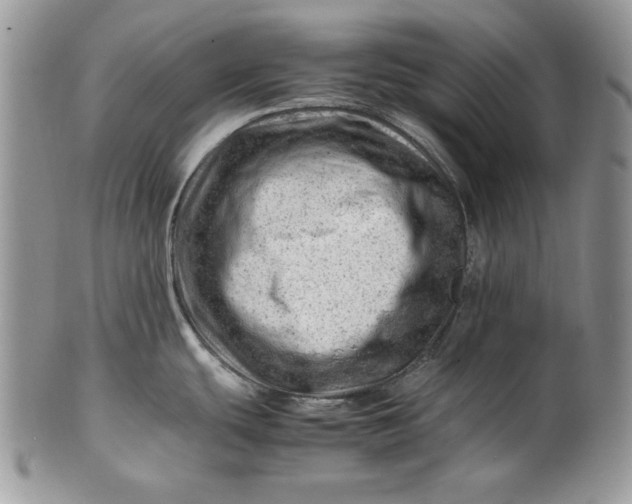 X0000101961439200808011058