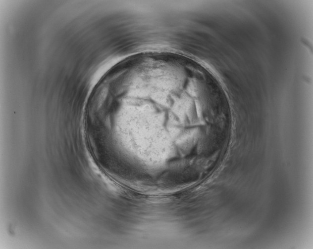 X0000101961440200808011058