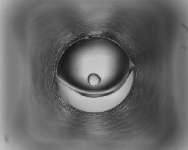 X0000101961441200808011057