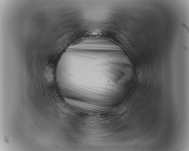 X0000101961442200808011057