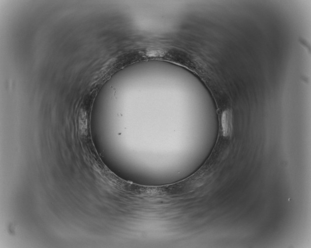 X0000101961443200808011057