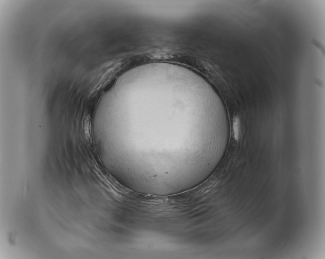 X0000101961444200808011057