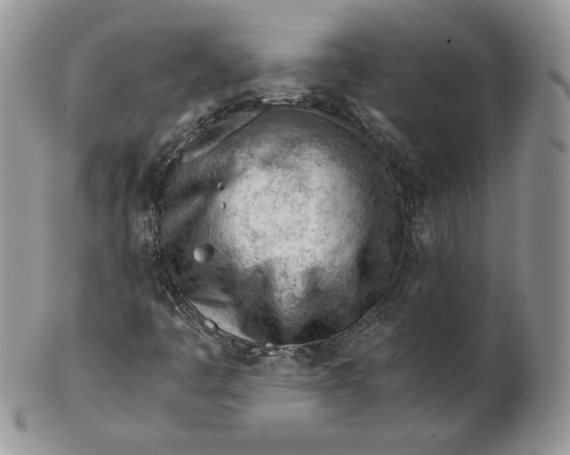 X0000101961445200808011057