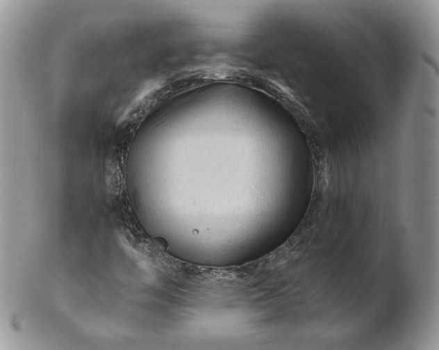 X0000101961446200808011057