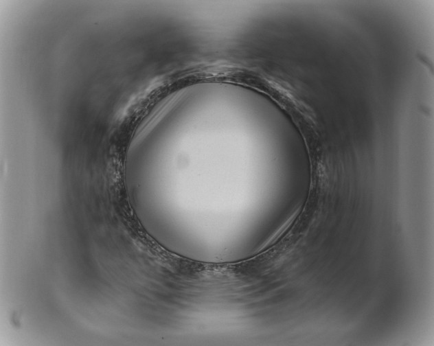 X0000101961447200808011057