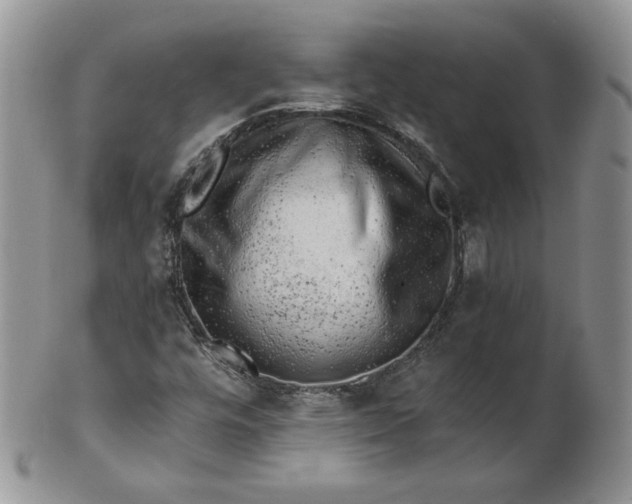 X0000101961448200808011057