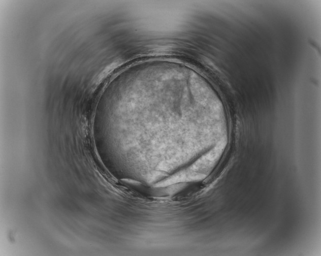 X0000101961449200808011057