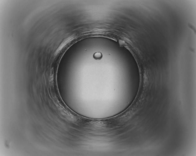 X0000101961450200808011057