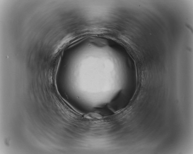 X0000101961451200808011057