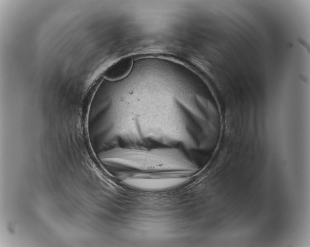 X0000101961452200808011057