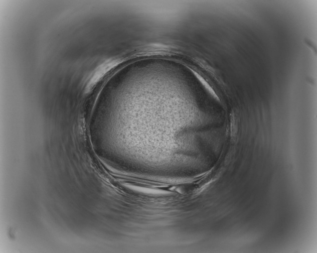 X0000101961453200808011057