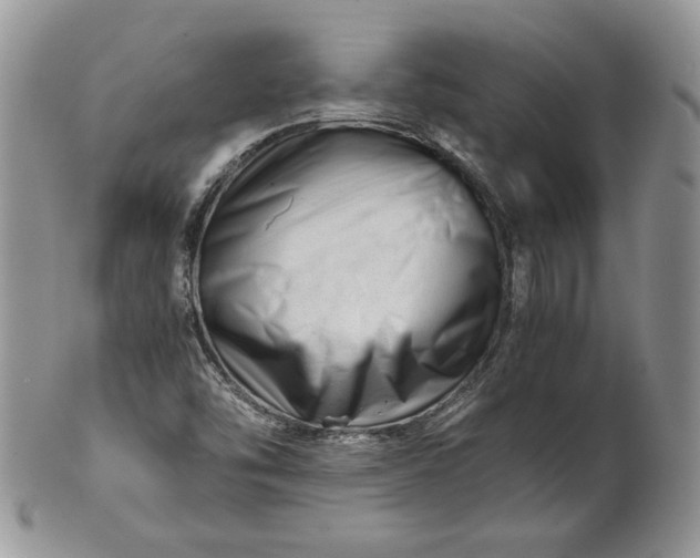 X0000101961454200808011057