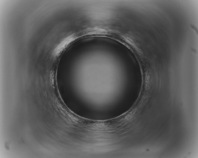 X0000101961455200808011057