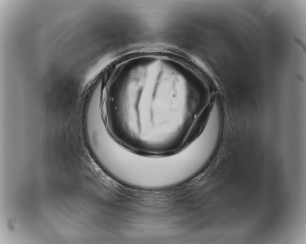 X0000101961456200808011057