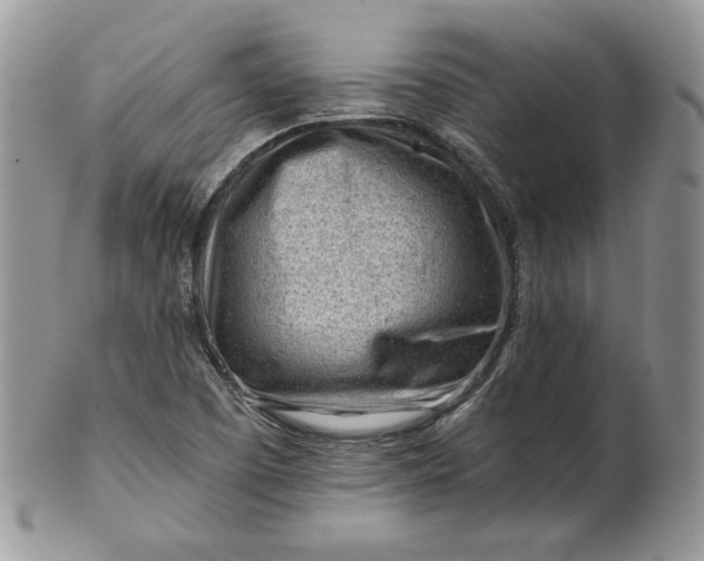 X0000101961457200808011057