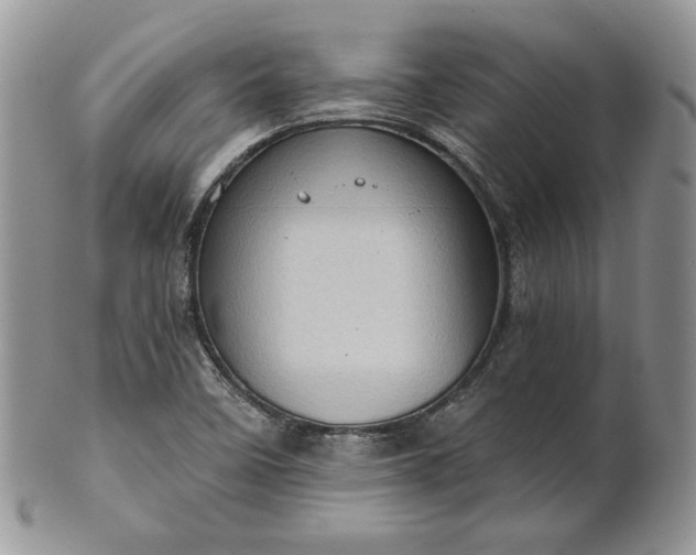 X0000101961458200808011057