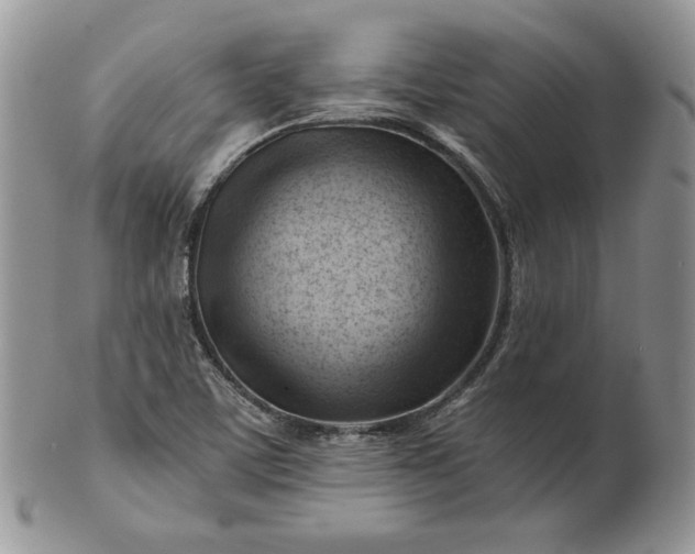 X0000101961459200808011057