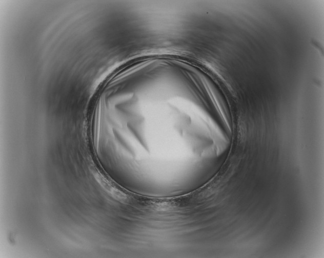 X0000101961460200808011057