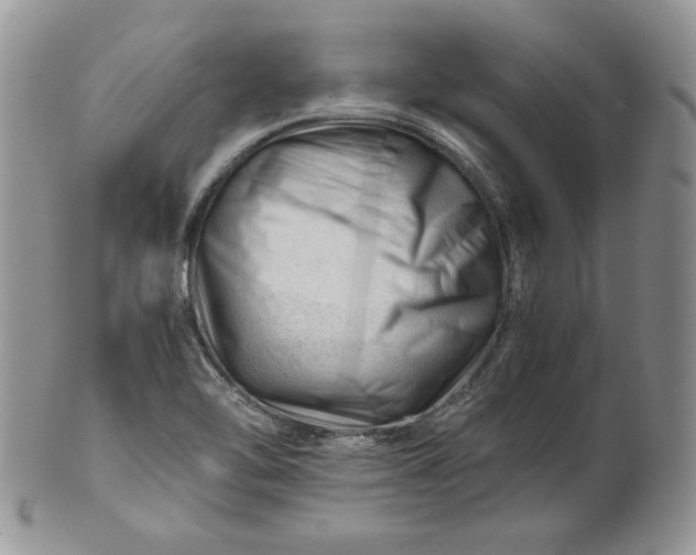 X0000101961462200808011057