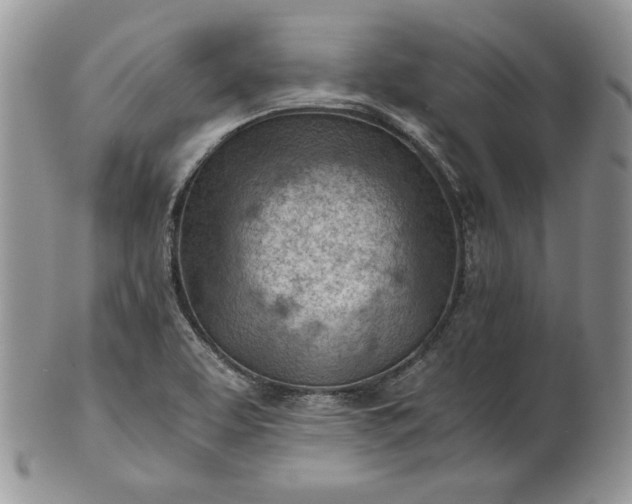 X0000101961463200808011057