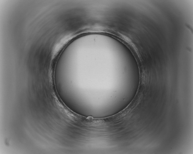 X0000101961464200808011057