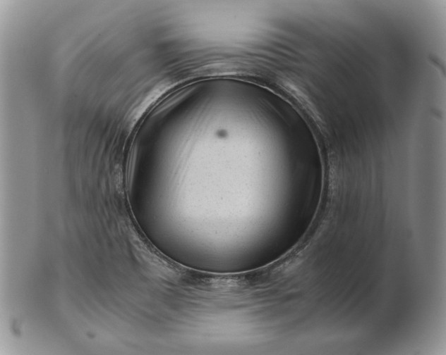 X0000101961465200808011057