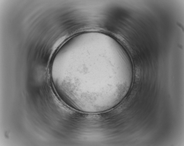 X0000101961466200808011057