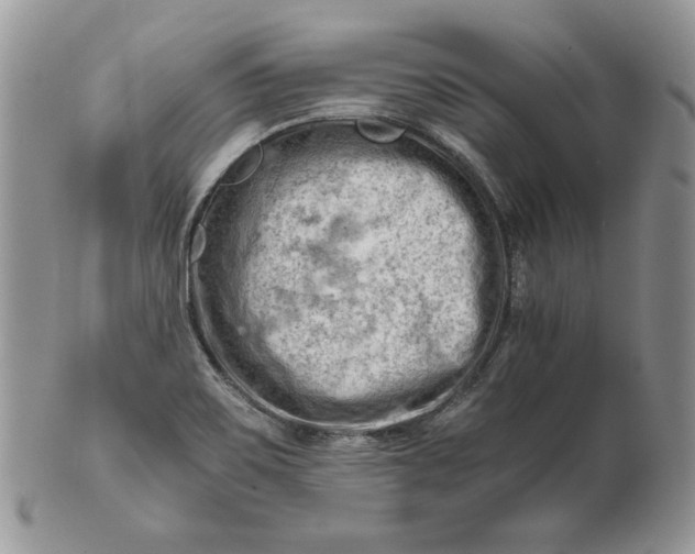 X0000101961467200808011057