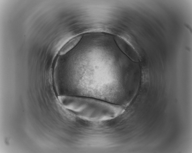 X0000101961468200808011057