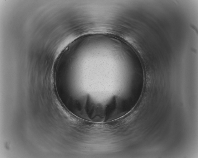 X0000101961469200808011057