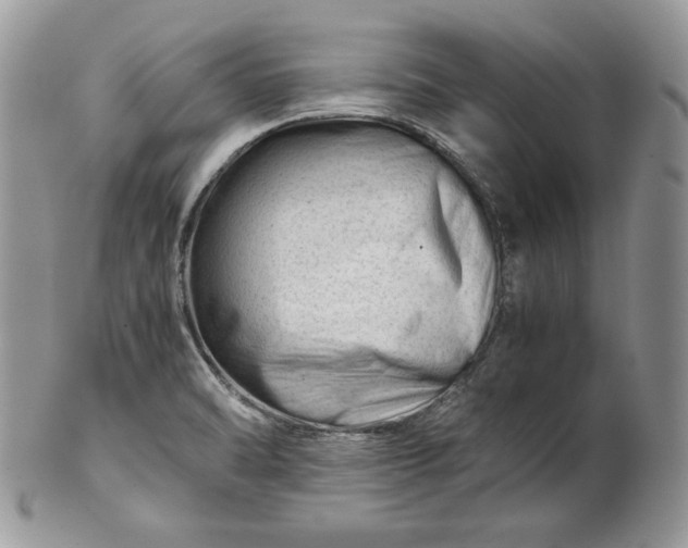 X0000101961470200808011057