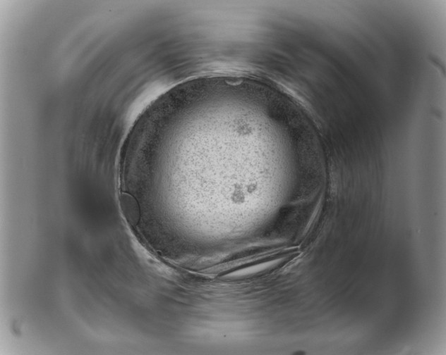 X0000101961471200808011057