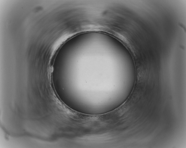 X0000101961472200808011057